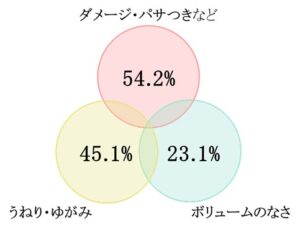 『サロンスタイル　ビオリス』から新製品、日本人女性の髪の悩み解決へ