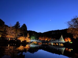 町田市の秋イベント、紅葉ライトアップや薬師雲海など見どころ満載