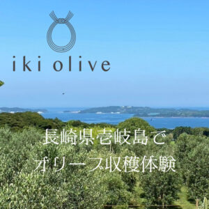 壱岐オリーブ園が2024年10月よりオリーブの収穫体験を開始、自然の中で新鮮なオリーブを堪能