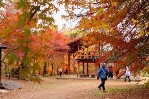 嵐山渓谷紅葉まつり2024、秋の景色と地元グルメを満喫するイベント