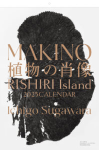 MAKINO植物の肖像 RISHIRI island 2025カレンダー 北海道利尻島の特異な植物を捉えた新作