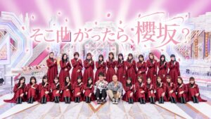 櫻坂46・日向坂46の人気番組パックをLeminoで提供開始