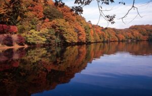 一碧湖と丸山公園の紅葉：静岡県伊東市の絶景スポット