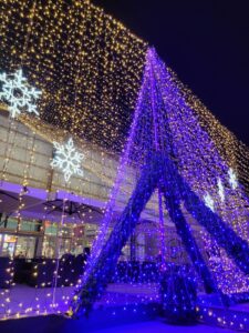 道の駅まえばし赤城、20万球の光が彩る「MAEBASHI AKAGI ILLUMINATION2024」の点灯式を11月23日に開催