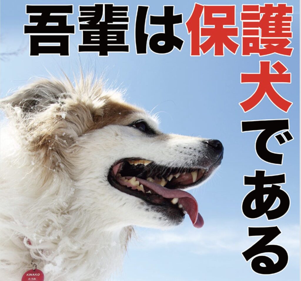 保護犬たちの「今」を映し出す、映画『吾輩は保護犬である』が伝えたいこと