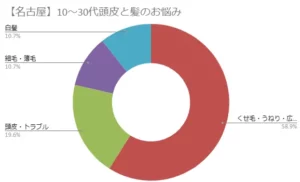 名古屋の10～30代女性は「頭皮トラブル」に悩みがち、Faviewお悩み調査