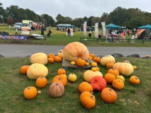 八ヶ岳農業大学校、本物のかぼちゃ1000個以上並ぶハロウィン企画を10月開催へ