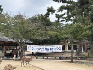 奈良県で11月8日に美化統一実践日を開催へ 清掃活動など全17コースで参加者募集
