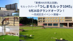 東横イン、東横INN対馬比田勝にモルックパークを9月26日オープンへ