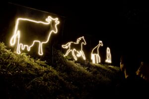 東京電機大学、埼玉県こども動物自然公園のナイトズーで体験型コンテンツ制作に協力へ