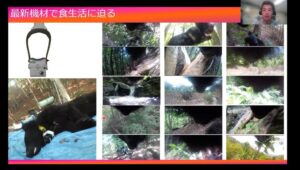 パルシステム東京がクマ出没と環境を考えるオンライン学習会を開催