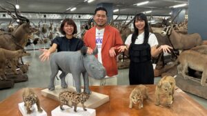 BS-TBSでアニマルワンダー 赤ちゃんヒミツ研究所を9月15日に放送へ