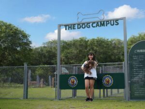 旧小石原小学校を活用した愛犬向け複合施設が2026年9月18日にオープンへ