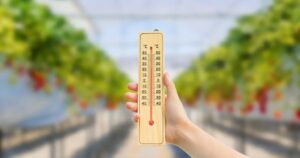 施設園芸の暑さ対策調査、7割が高温被害を経験しミスト導入意向が最多に