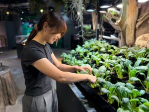 神戸のアトアで朝のプレミアムゾウガメ餌やり体験を2026年9月20日に開催へ
