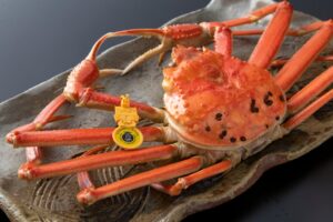 川崎重工のZ-Leg、名古屋発着の福井日帰りヘリツアーを11月7日に開催へ