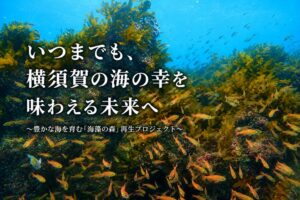 横須賀市がふるさと納税型クラウドファンディングを開始 藻場再生や公園遊具更新へ