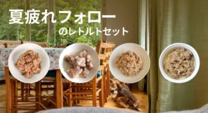 POCHIが夏バテフォローのレトルトセットを9月8日に数量限定発売へ