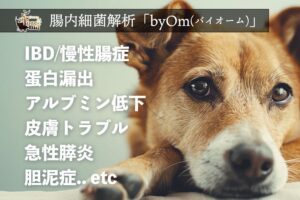Forema、犬猫の腸内フローラ検査「byOm」に動物病院用プランを新設へ
