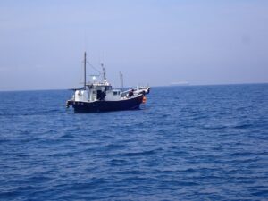BLUABLE、伊豆大島沖の水深約1,000mで海藻サンプルの回収に国内初成功