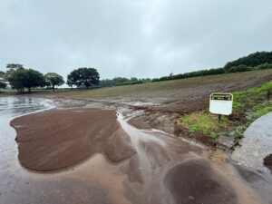 東京ドイツ村、豪雨被災のコスモス畑復旧へ　10月中旬の開花目指す