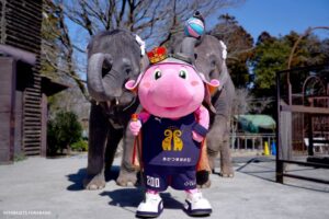 千葉ジェッツがジャンボくん市原ぞうの国バスツアーを開催 135名が参加
