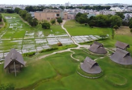 登呂遺跡で赤米収穫体験やライトアップを実施へ 静岡の歴史と食の企画を展開