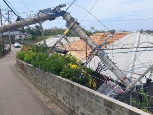 鹿児島県徳之島の伊仙町、台風18号被害で災害支援型ふるさと納税を受付