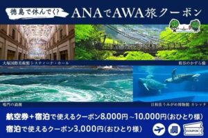 羽田ー徳島便対象に最大1万円引きのANAでAWA旅キャンペーンが実施