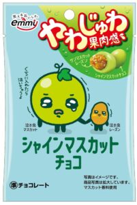 正栄デリシィがシャインマスカットチョコを2026年9月14日に全国発売へ