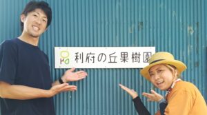 利府の丘果樹園とSunny Apricotが利府梨のコラボイベントを9月に開催へ