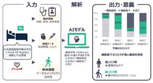 順天堂大など、高齢心不全患者の退院後機能低下を予測するAIモデルを開発
