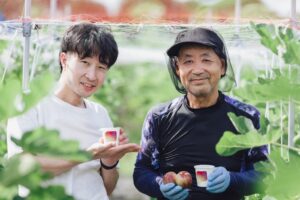 三朝ヨーグルトが鳥取県北栄町産いちじくを使用した限定ヨーグルトの販売を開始