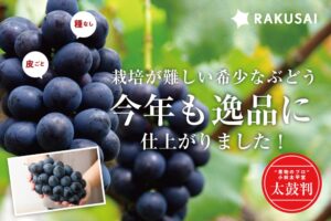 楽彩が長野県産ナガノパープルをRAKUSAIで100箱限定予約販売へ