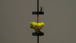 平安伸銅工業とBARREL、植物育成Grow Lightシリーズを9月14日発売へ