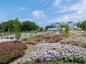 ぐんまフラワーパークプラス、県内最多約5,700株の秋バラフェア等を10月開催へ