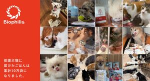 バイオフィリア、保護犬猫へ届けたごはん・おやつが累計109,572袋に達する