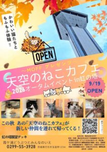 MOFF、地上60mの虹の塔で天空のねこカフェを9月19日より再開へ