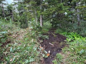 飛騨市と地元団体が北ノ俣岳登山道修繕の木道設置ボランティアを募集