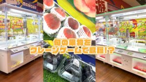 万代全店初となる遊べるスーパー万代 新青森店が9月19日にオープンへ