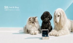 メモリアルジュエリー検討は元気なうちにが最多 Serendipity-Works調査