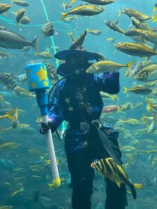 下田海中水族館 魔法使い姿のダイバーによる餌付けショーを9月26日から開催へ