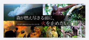 ウータン・森と生活を考える会がボルネオ島の森林火災対策で緊急募金を開始 目標200万円