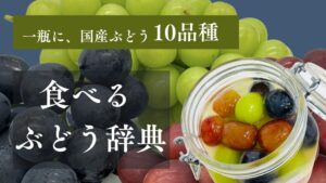 株式会社ながせ フルーツポンチッチ 食べるぶどう辞典を先行販売へ