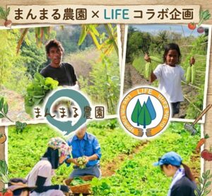 まんまる農園とLIFEが連携 定期便申込でインドネシア支援へ寄付 9月30日まで