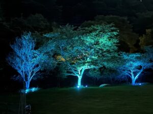 川西市が手話言語の国際デーに合わせブルーライトアップや啓発イベントを開催へ