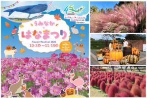 国営海の中道海浜公園でうみなか＊はなまつり2026が10月3日から開催へ