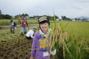 上越市で稲刈りやみそ仕込みを体験するイベントが10月3日と4日に開催へ