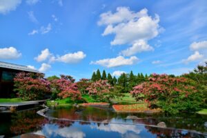 梅小路公園で日本庭園の魅力と未来を語るイベントが10月24日に開催へ