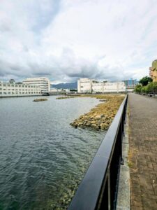 神戸新聞社、兵庫運河で環境保全活動を体験するイベントを10月18日に開催へ